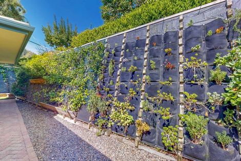 Photo of property in 230 The Booms Avenue, Thames, 3500