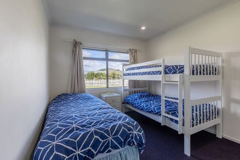 Photo of property in 134 Parekaawa Drive, Motuoapa, Turangi, 3382