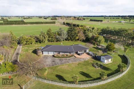 Photo of property in 309 Colyton Road, Colyton, Feilding, 4775