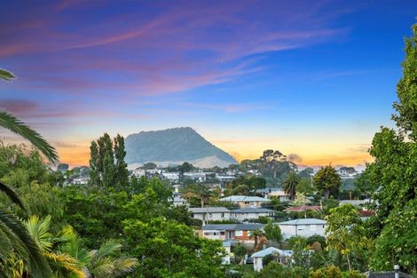 Photo of property in 25 Bellevue Road, Brookfield, Tauranga, 3110