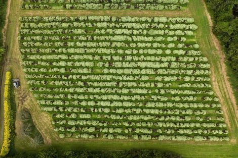 Photo of property in 40 Killen Road, Tahawai, Katikati, 3178