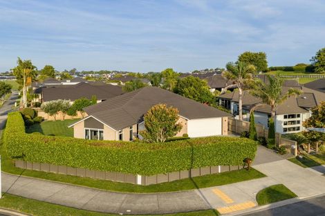 Photo of property in 13 Roy Hilton Drive, Flagstaff, Hamilton, 3210