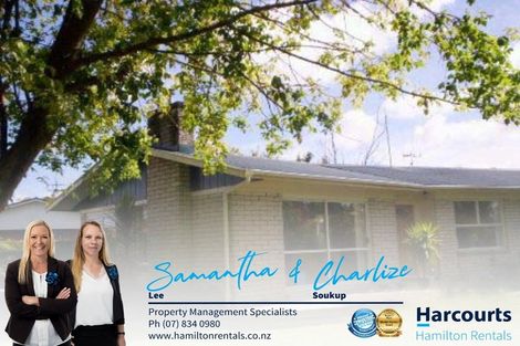 Photo of property in 11 Arthur Place, Chartwell, Hamilton, 3210