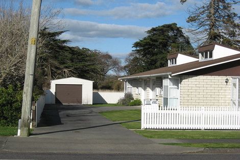 Photo of property in 113 Tutaenui Road, Marton, 4710