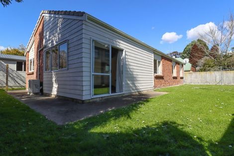 Photo of property in 13a Peachgrove Road, Hamilton East, Hamilton, 3216