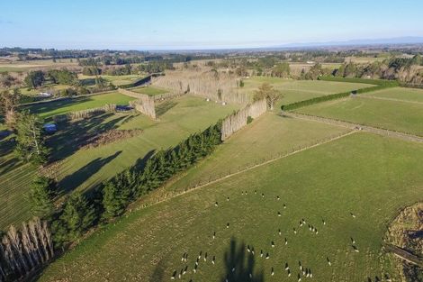 Photo of property in 269 Loburn Whiterock Road, Loburn, Rangiora, 7472