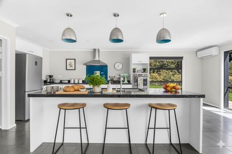 Photo of property in 443 Makarau Road, Makarau, Kaukapakapa, 0873