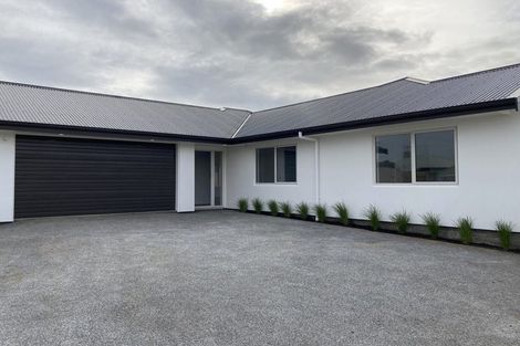 Photo of property in 31a Ward Street, Palmerston North, 4410