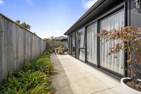 Photo of property in 25a Hereford Street, West End, Palmerston North, 4410