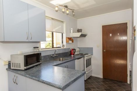 Photo of property in 29 Mitchell Place, Netherby, Ashburton, 7700