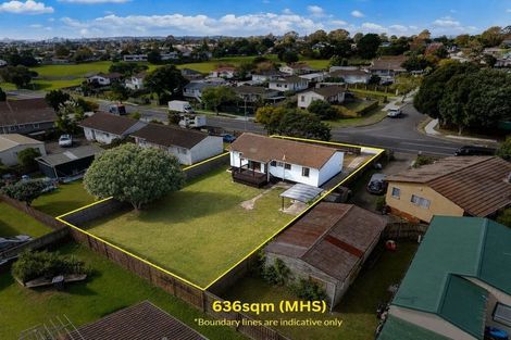 Photo of property in 113 Finlayson Avenue, Clendon Park, Auckland, 2103