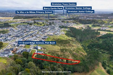 Photo of property in 11 Grand Ridge Avenue, Flat Bush, Auckland, 2019