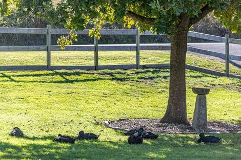 Photo of property in 11 James Road, Huntly, 3771