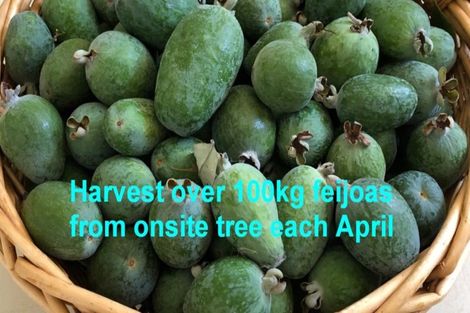 Photo of property in 36a Crane Street, Mount Maunganui, 3116