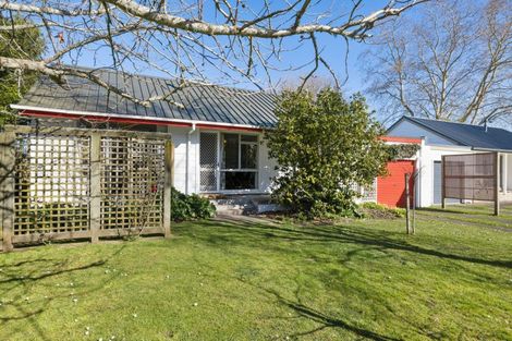 Photo of property in 21 Morrow Avenue, St Andrews, Hamilton, 3200