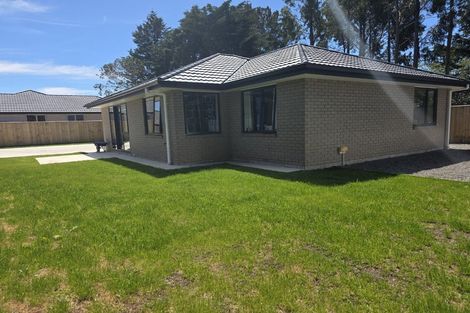 Photo of property in 93/7 Harley Street, Solway, Masterton, 5810