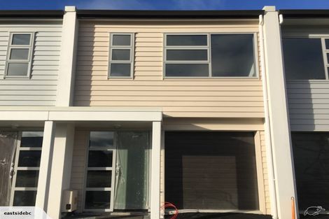 Photo of property in 29 Portland Lane, Chartwell, Hamilton, 3210