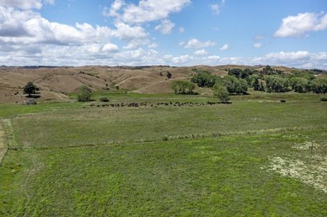 Photo of property in 429 Te Akau South Road, Te Akau, Ngaruawahia, 3793