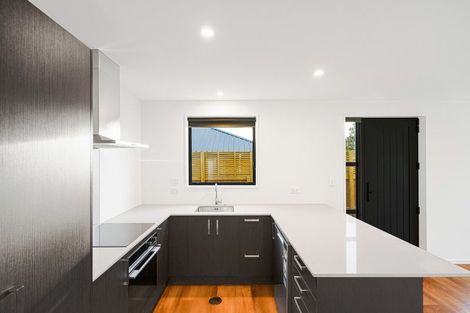 Photo of property in 3/163 Bordesley Street, Phillipstown, Christchurch, 8011