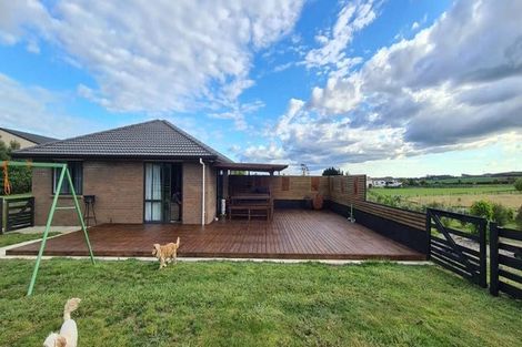 Photo of property in 301 Mercer Ferry Road, Mercer, Tuakau, 2696