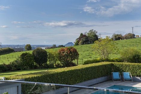 Photo of property in 20 Hereford Road, Oropi, Tauranga, 3173