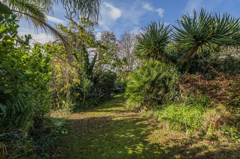 Photo of property in 89 Purangi Road, Purangi, Whitianga, 3591