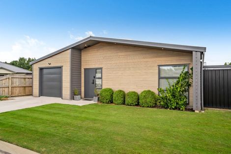 Photo of property in 32 Tuatahi Avenue, Solway, Masterton, 5810