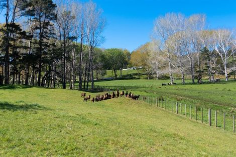 Photo of property in 99 Mcpike Road, Waimauku, 0883