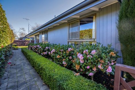 Photo of property in 178a Chapel Street, Masterton, 5810