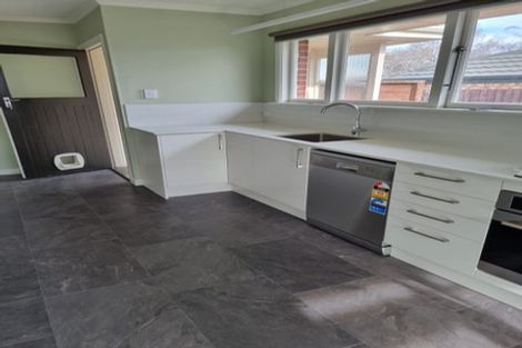 Photo of property in 49 Cobra Street, Halswell, Christchurch, 8025