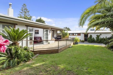 Photo of property in 31 Collingwood Street, Judea, Tauranga, 3110