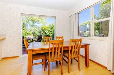 Photo of property in 45 Regent Street, Silverdale, Hamilton, 3216