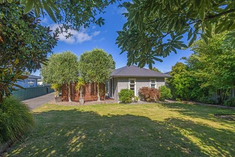 Photo of property in 8 Derby Street, Feilding, 4702
