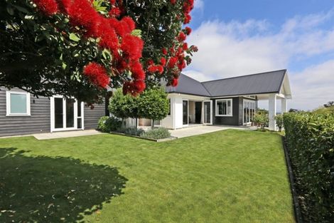 Photo of property in 82 Rochfort Road, Havelock North, 4130