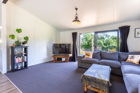 Photo of property in 40 Tiraumea Road, Pahiatua, 4981
