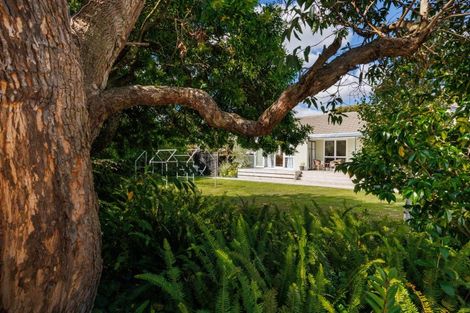 Photo of property in 580 Ferguson Street, Terrace End, Palmerston North, 4410