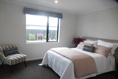 Photo of property in 170 Southfield Drive, Lincoln, 7608