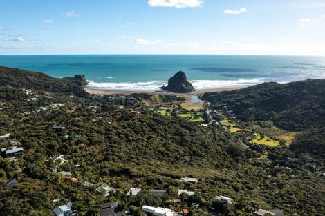 Photo of property in 22 Pendrell Road, Piha, New Lynn, 0772