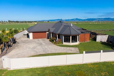 Photo of property in 16 Harris Place, Ngatea, 3503