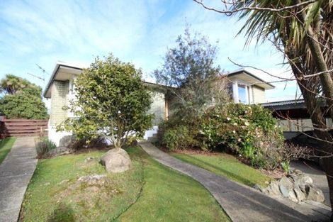 Photo of property in 313 Talbot Street, Hargest, Invercargill, 9810