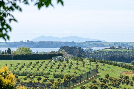 Photo of property in 313 Youngson Road, Whakamarama, Tauranga, 3179