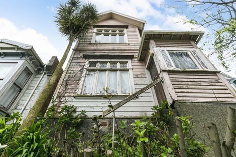 Photo of property in 24 Arlington Street, Mount Cook, Wellington, 6011
