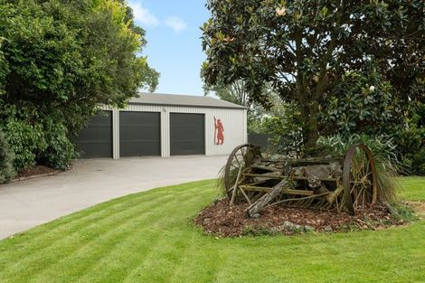 Photo of property in 67 Mcnab Road, Te Poi, Matamata, 3473