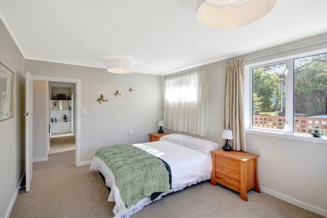 Photo of property in 17 Signal Hill Road, Opoho, Dunedin, 9010