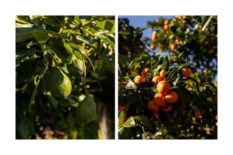 Photo of property in 26 Brackenburn Drive, Ohauiti, Tauranga, 3112