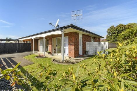 Photo of property in 16c Burrows Street, Tauranga South, Tauranga, 3112