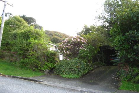 Photo of property in 83 Walker Street, Bluff, 9814