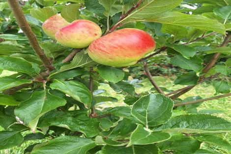 Photo of property in 695e Chester Road, West Taratahi, Carterton, 5791