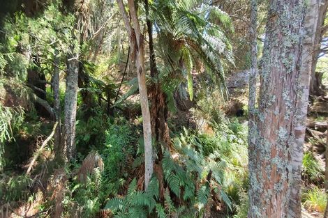 Photo of property in 581 Valley Road, Kaiwaka, 0573