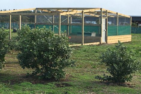 Photo of property in 5 Ronas Place, Kaingaroa, Kaitaia, 0483